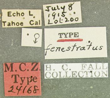 Media type: image;   Entomology 24168 Aspect: labels